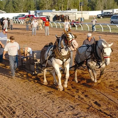 Carlton County Fair